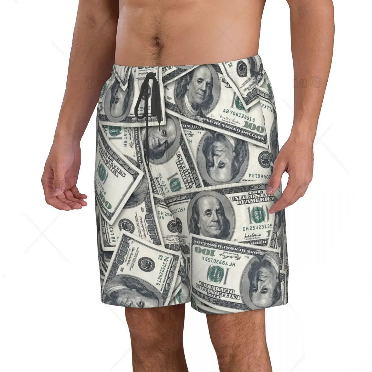 Dollar Print Swim Trunks